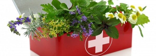 Healing Remedies 101: Naturopathic First Aid Kit