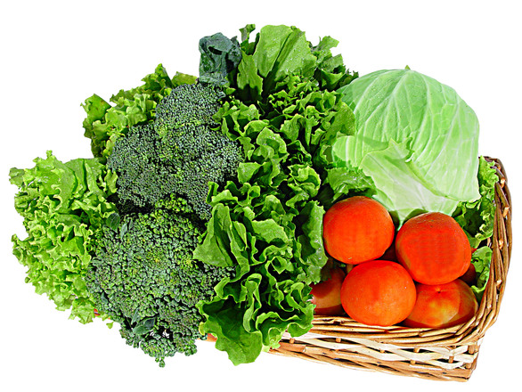 The Paleo Diet Uncovered